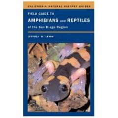 Field Guide to Amphibians & Reptiles of San Diego