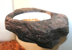 Pet Tekk Small Worm Feeder Ledge Granite