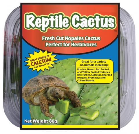 Reptile Cactus 80 grams