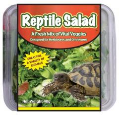 Reptile Salad 40 grams