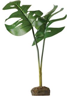 Exo Terra Philodendron Smart Plant