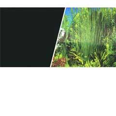 Plant Aquarium Scene / Solid Black Background 18"