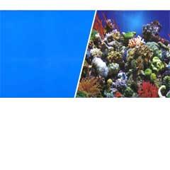 Aquarium Reef Scene / Solid Blue Background 18"