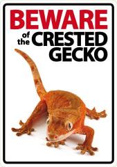 Beware of the Crested Gecko Sign