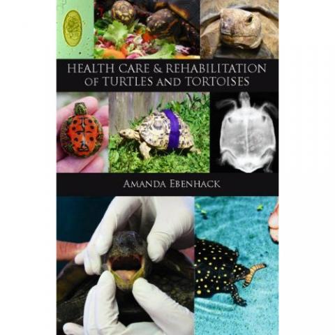 Health Care & Rehabilitation of Turtle & Tortoises